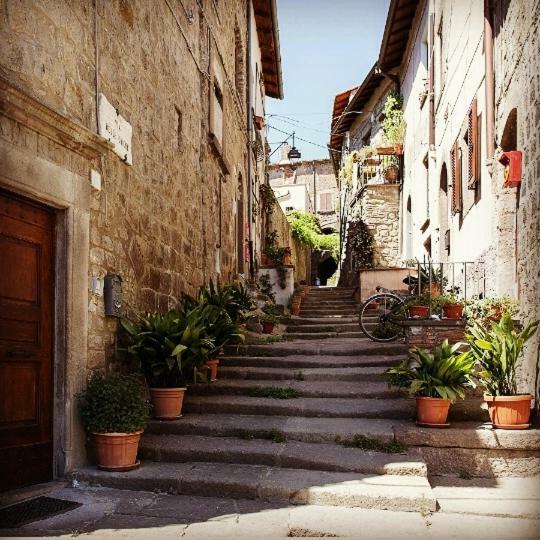 Residenza Turistica Di Via Delle Caiole 32 Viterbo Eksteriør bilde